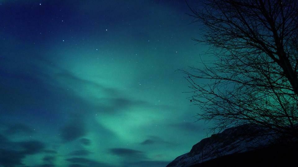 Ballangen Camping Narvik Bagian luar foto