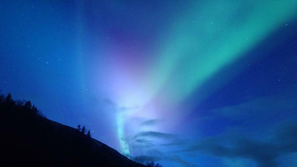 Ballangen Camping Hotel Narvik Bagian luar foto