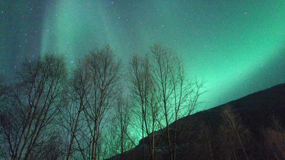 Ballangen Camping Narvik Bagian luar foto